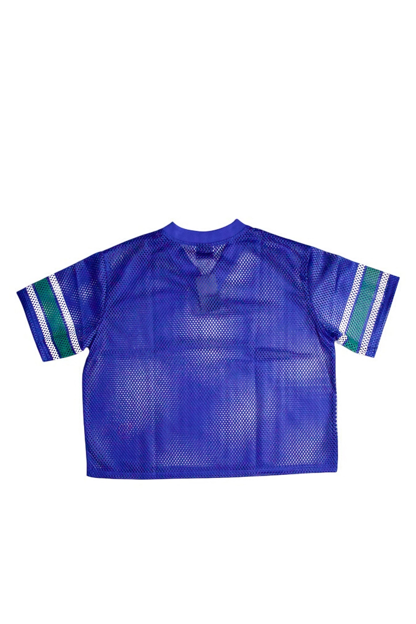 Blue & Sage Jersey