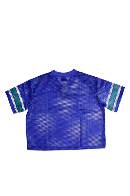 Blue & Sage Jersey